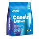 Casein & Whey - 500g Vanilla 2022-10-0480 фото 1