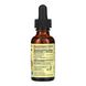 Echinacea Liquid - 30ml Orange 2022-10-1311 фото 2